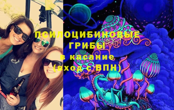 прущие грибы Белокуриха